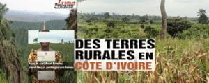 Côte d’Ivoire-domaine foncier rural : 23 778 certificats fonciers ont été délivrés de 2012 à 2023 contre 188 de 2002 à 2011 ledebativoirien.net