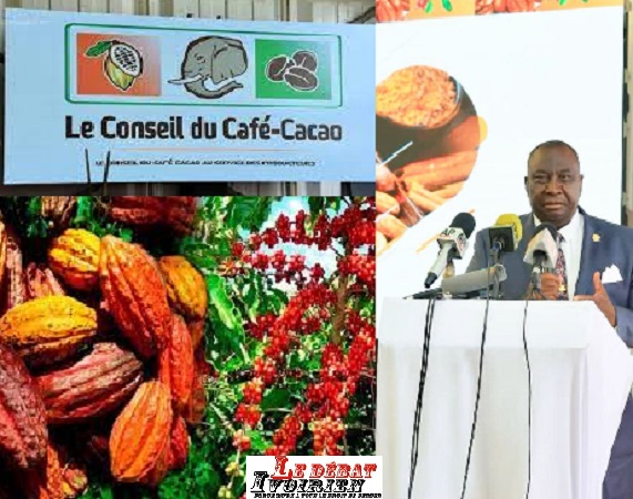 Côte d’Ivoire: nouveau vent au Conseil du Café Cacao avec la campagne 2023-2024