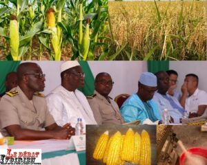 Autosuffisance de la Côte d’Ivoire en riz : Gaoussou Touré engagé ledebativoirien.net