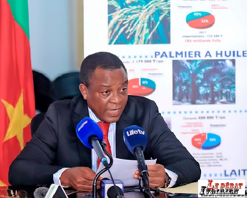 API cameroun ledebativoirien.net