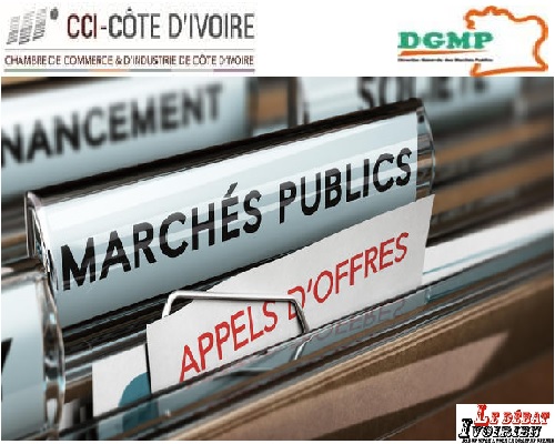 Marché Publics ledebativoirien.net