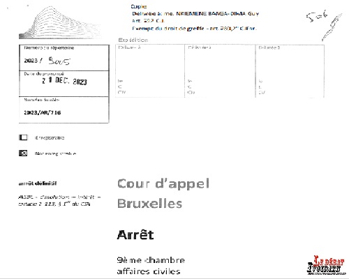 Arrêt Cour d'Appel de BRUXELLES qui DISSOUT LE rcedaao ledebativoirien.net