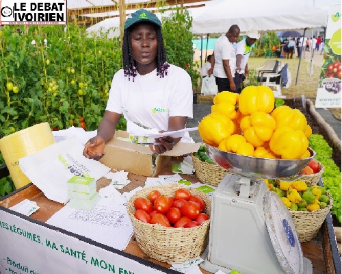 Autonomisation des femmes : le gouvernement ivoirien met en place des infrastructures ledebativoirien.net