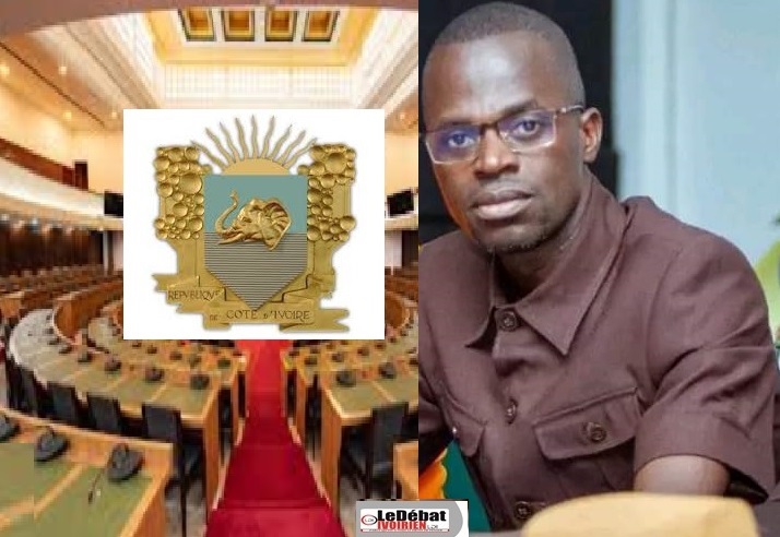 Bin-Houye Goulaleu - Diko Herbert Départemental Rhdp candidat indépendant : « C'est pour répondre à la volonté de la base », Ledebativoirien.net